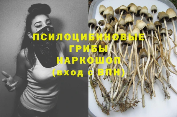 ГАЛЛЮЦИНОГЕННЫЕ ГРИБЫ Балахна