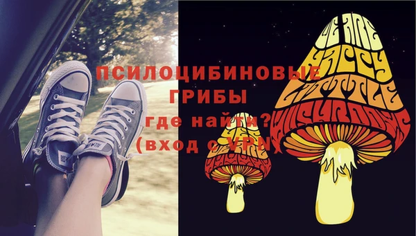 ГАЛЛЮЦИНОГЕННЫЕ ГРИБЫ Балахна