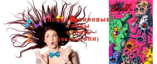 ГАЛЛЮЦИНОГЕННЫЕ ГРИБЫ Балахна