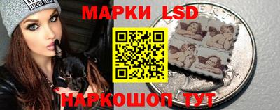 шишки Гатчина