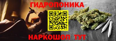 сатива Гагарин