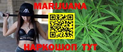 шишки Гатчина