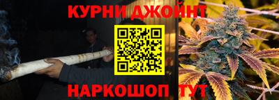 крисы Кизляр