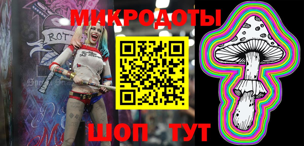 Псилоцибиновые грибы Psilocybe Краснокаменск