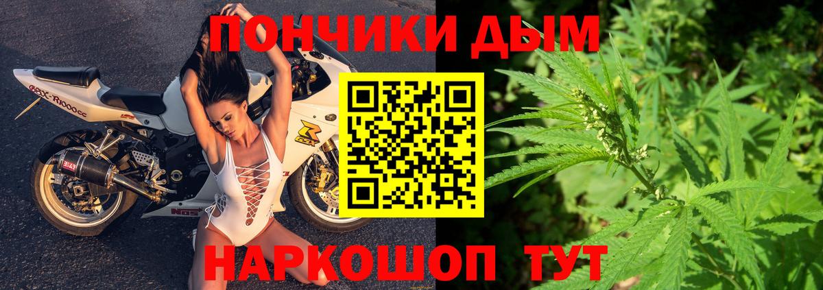 Конопля сатива Краснокаменск
